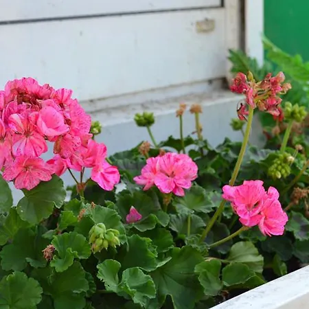 Hohenstein -radweg-messe-baldeneysee