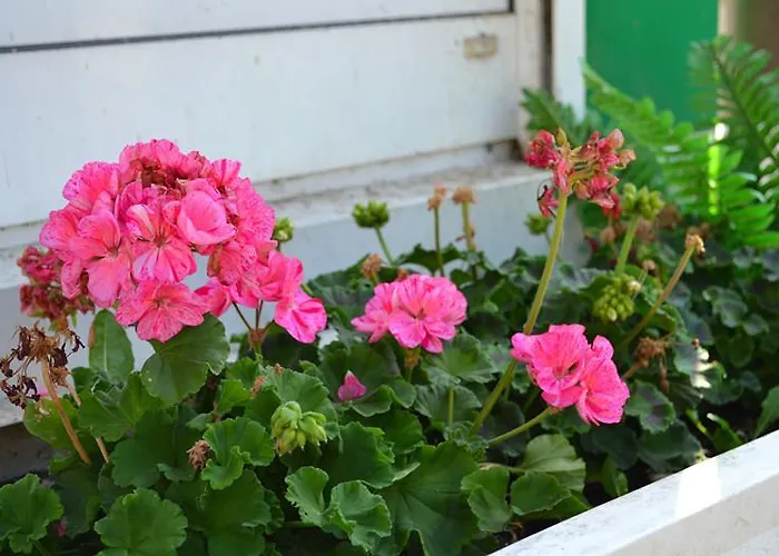 Hohenstein -radweg-messe-baldeneysee